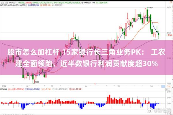股市怎么加杠杆 15家银行长三角业务PK： 工农建全面领跑，近半数银行利润贡献度超30%