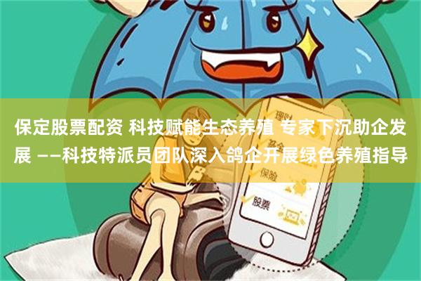 保定股票配资 科技赋能生态养殖 专家下沉助企发展 ——科技特派员团队深入鸽企开展绿色养殖指导