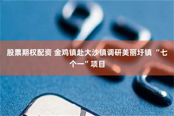 股票期权配资 金鸡镇赴大沙镇调研美丽圩镇 “七个一”项目