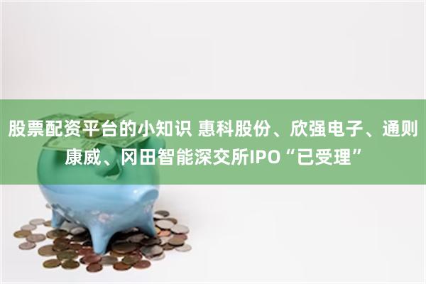 股票配资平台的小知识 惠科股份、欣强电子、通则康威、冈田智能深交所IPO“已受理”