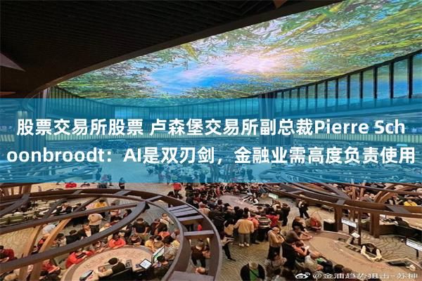 股票交易所股票 卢森堡交易所副总裁Pierre Schoonbroodt：AI是双刃剑，金融业需高度负责使用