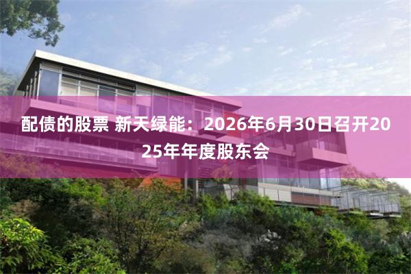 配债的股票 新天绿能：2026年6月30日召开2025年年度股东会