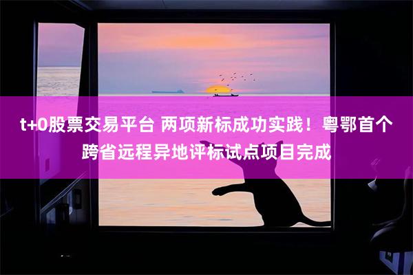 t+0股票交易平台 两项新标成功实践！粤鄂首个跨省远程异地评标试点项目完成
