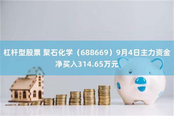 杠杆型股票 聚石化学（688669）9月4日主力资金净买入314.65万元