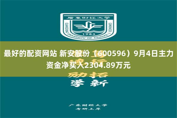 最好的配资网站 新安股份（600596）9月4日主力资金净买入2304.89万元