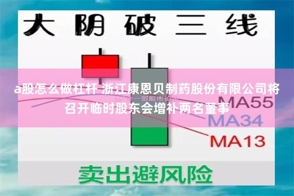 a股怎么做杠杆 浙江康恩贝制药股份有限公司将召开临时股东会增补两名董事