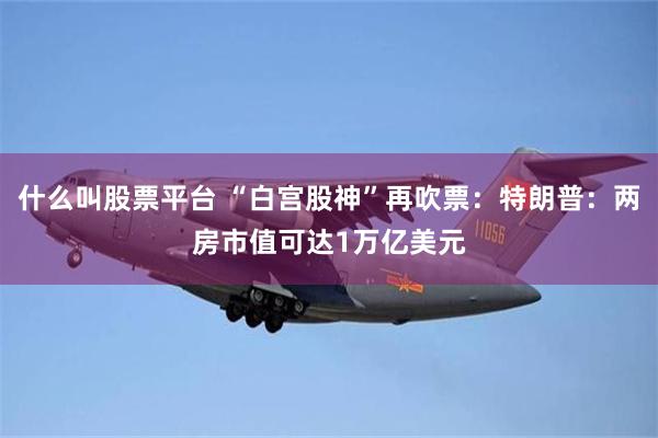 什么叫股票平台 “白宫股神”再吹票：特朗普：两房市值可达1万亿美元