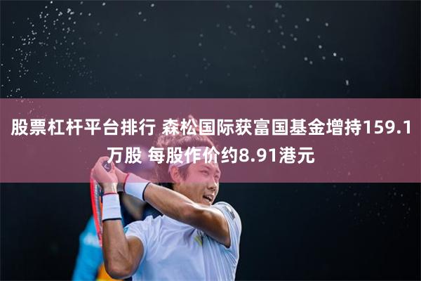 股票杠杆平台排行 森松国际获富国基金增持159.1万股 每股作价约8.91港元