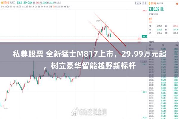 私募股票 全新猛士M817上市，29.99万元起，树立豪华智能越野新标杆