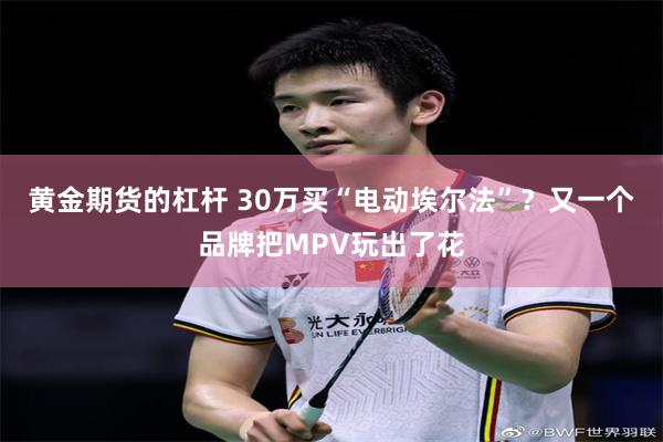 黄金期货的杠杆 30万买“电动埃尔法”？又一个品牌把MPV玩出了花