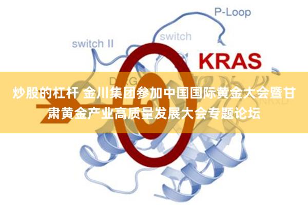炒股的杠杆 金川集团参加中国国际黄金大会暨甘肃黄金产业高质量发展大会专题论坛
