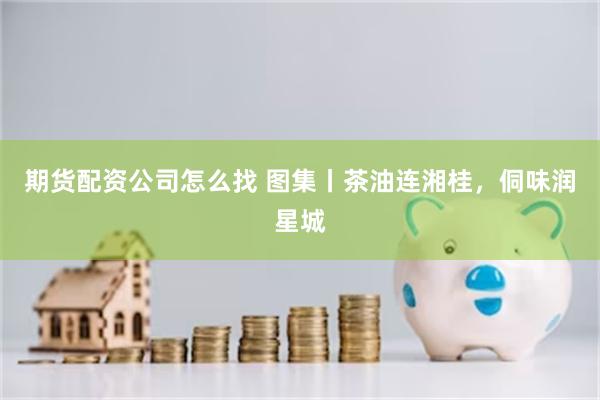 期货配资公司怎么找 图集丨茶油连湘桂，侗味润星城