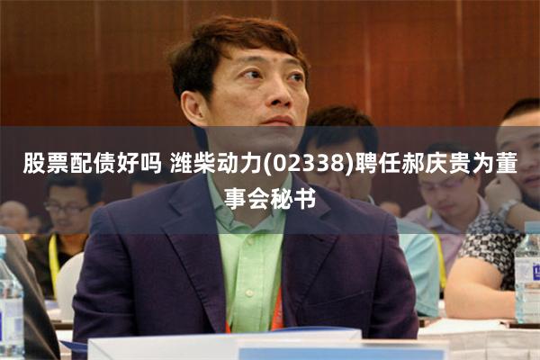 股票配债好吗 潍柴动力(02338)聘任郝庆贵为董事会秘书