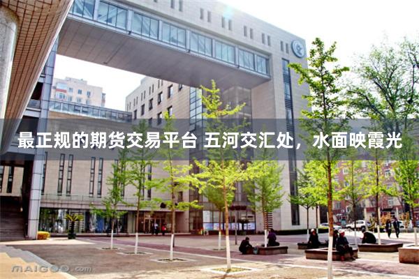 最正规的期货交易平台 五河交汇处，水面映霞光