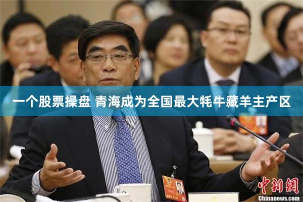 一个股票操盘 青海成为全国最大牦牛藏羊主产区