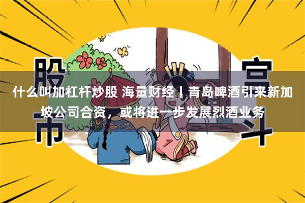 什么叫加杠杆炒股 海量财经丨青岛啤酒引来新加坡公司合资，或将进一步发展烈酒业务